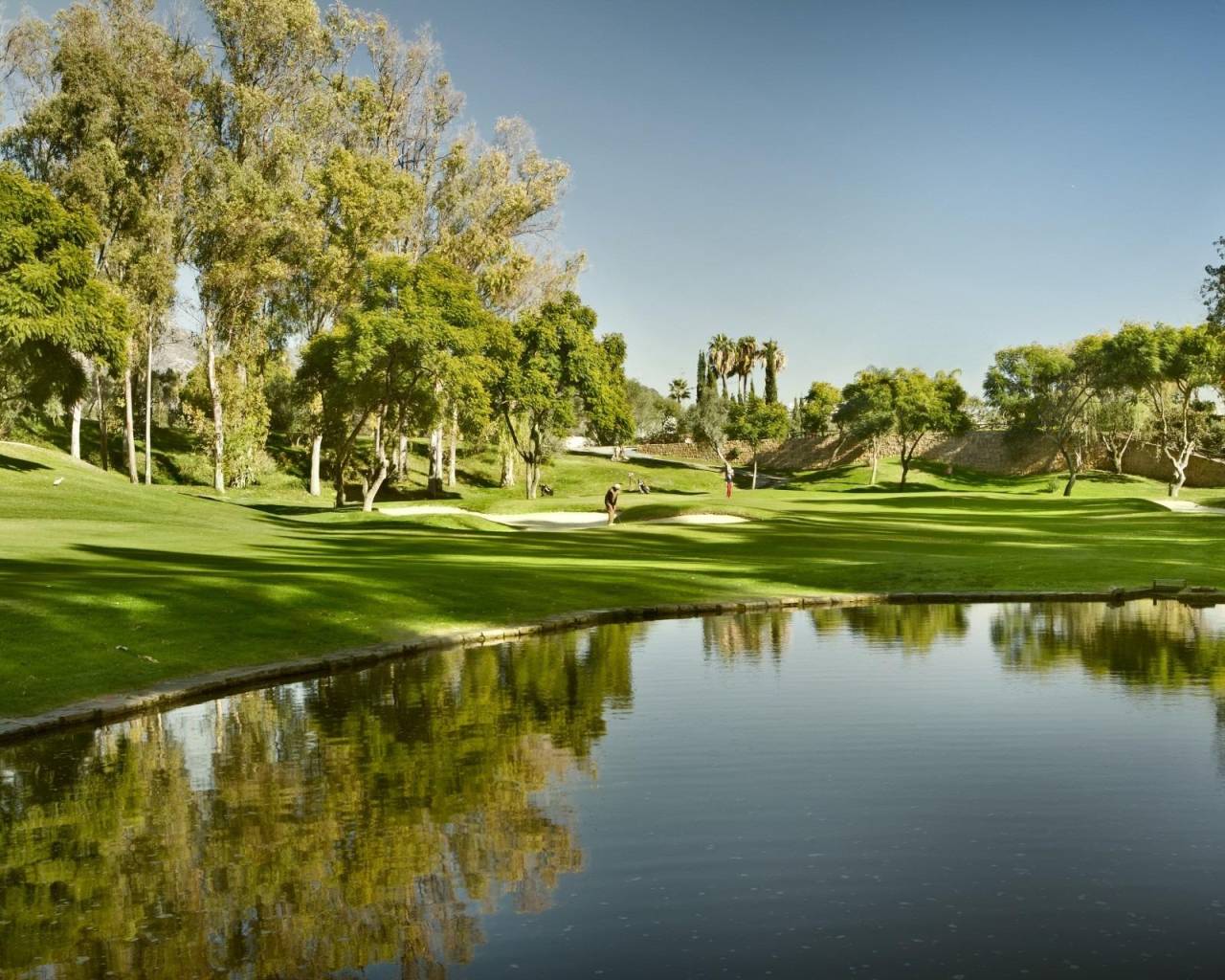 Nouvelle construction - Ground floor apartment - Marbella - Nueva Andalucia