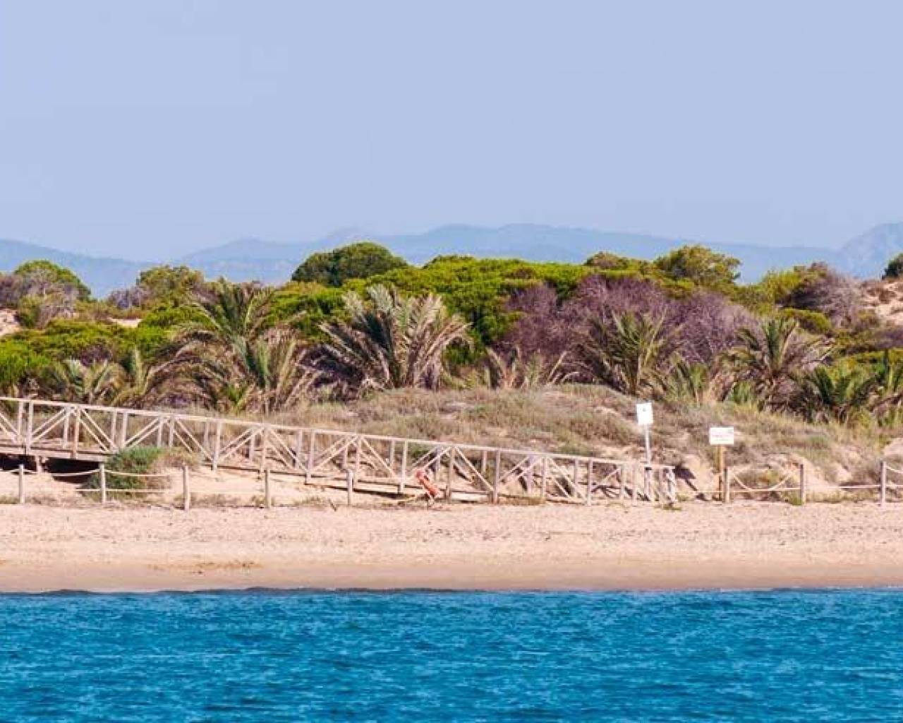 Nueva construcción  - Apartamentos - Guardamar del Segura - Pueblo