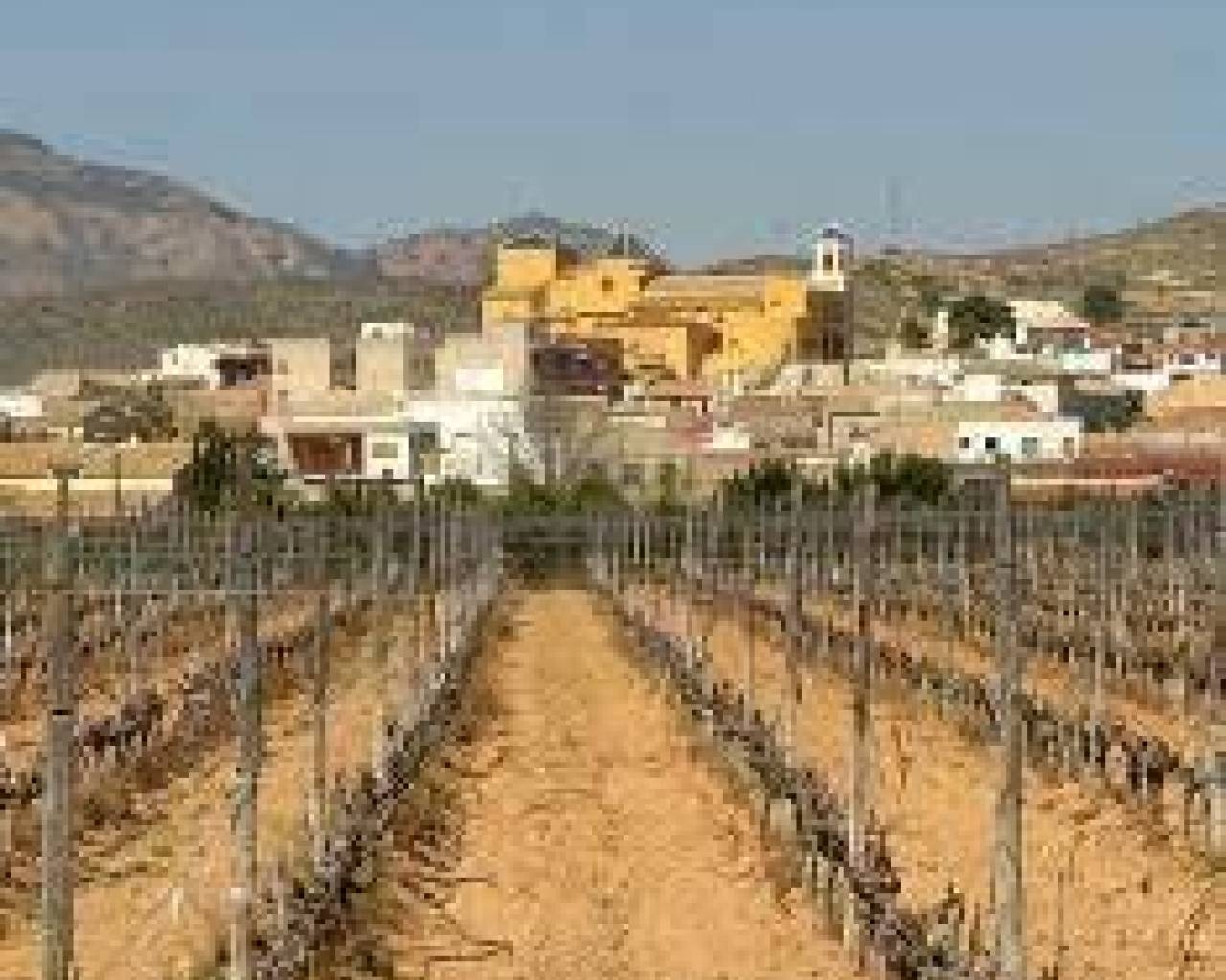 Nueva construcción  - Adosado / Bungalow - Hondón de las Nieves - Canalosa