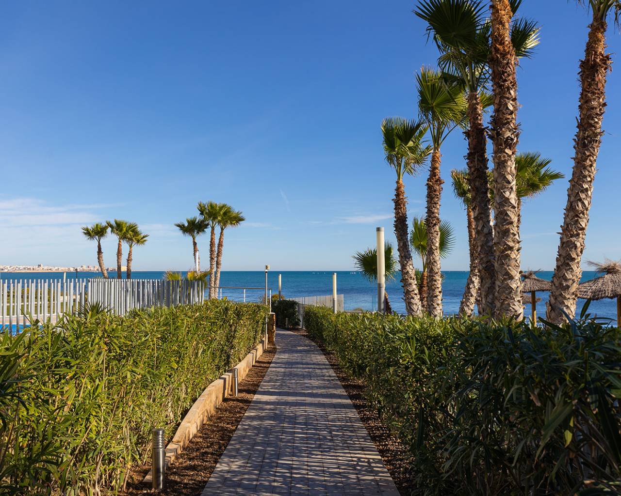 Venta - Apartamentos - Torrevieja - Punta Prima