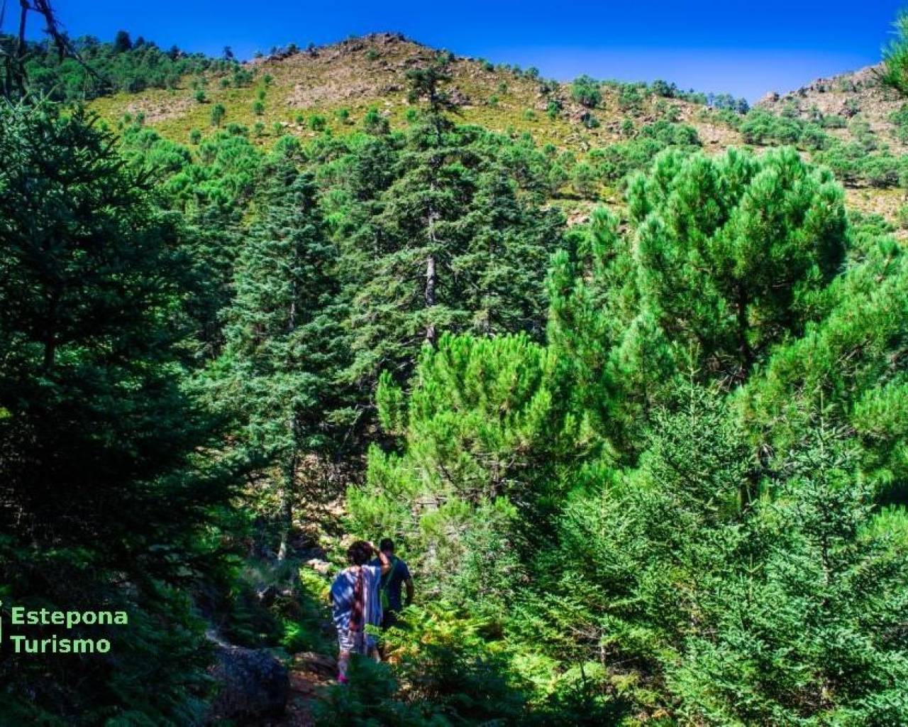 Nueva construcción  - Apartamentos - Estepona - Playa de La Rada