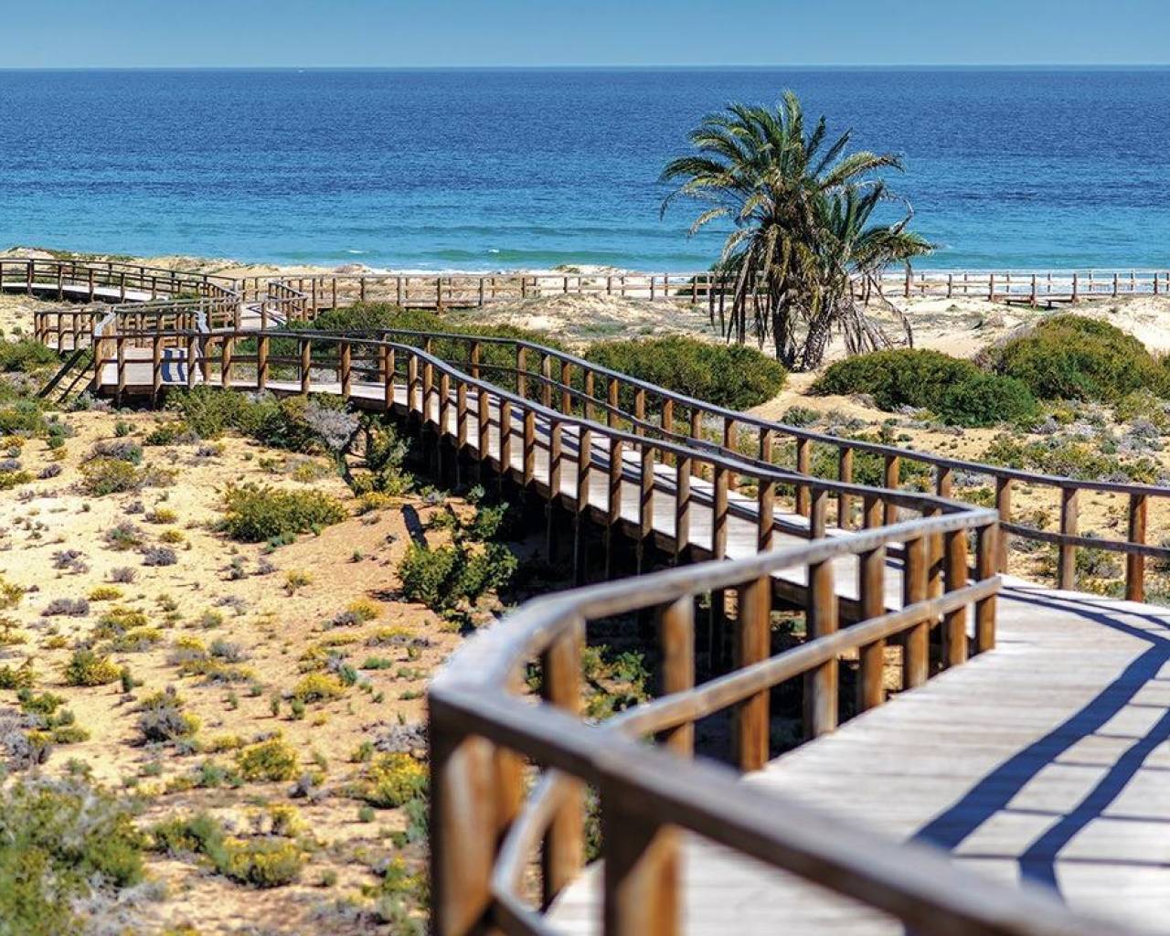 Nueva construcción  - Apartamentos - Monforte del Cid - Alenda Golf