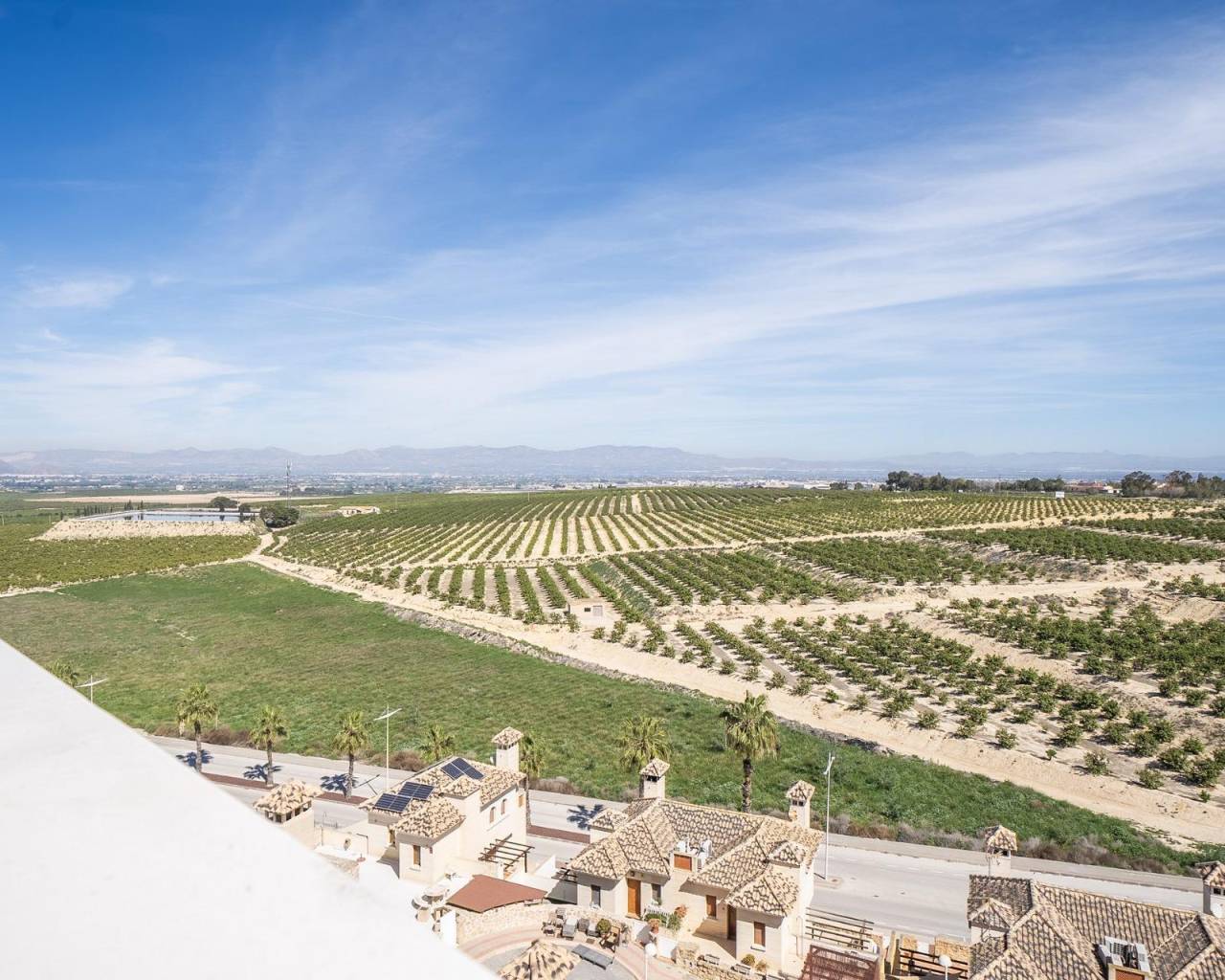 Nueva construcción  - Villas - Algorfa - La Finca Golf