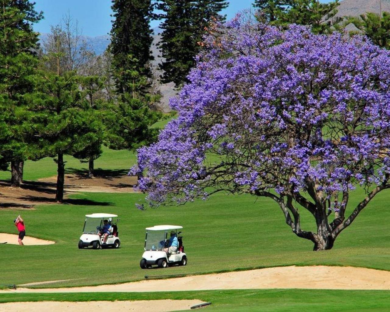 New Build - Apartments - Mijas - La Noria Golf