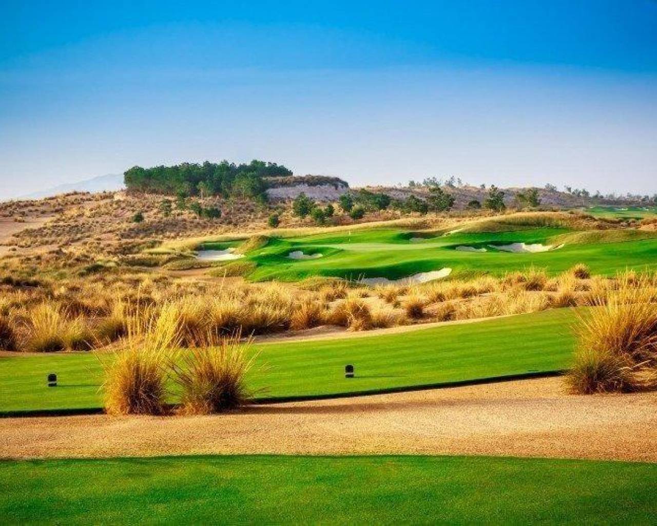 Nueva construcción  - Villas - Alhama De Murcia - Condado De Alhama