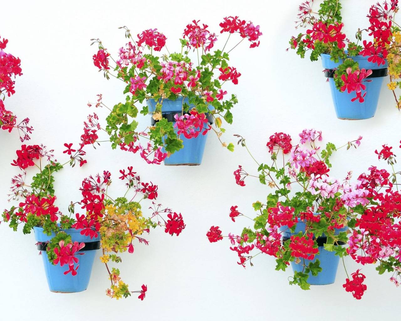 Nueva construcción  - Apartamentos - Mijas - La Noria Golf