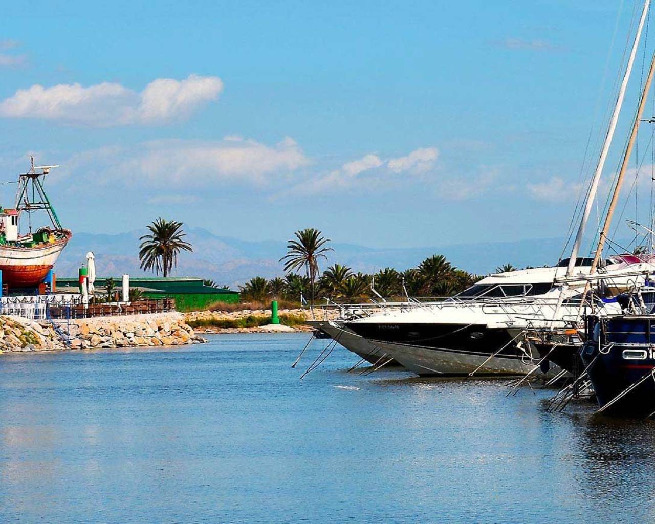 Nueva construcción  - Apartamentos - Guardamar del Segura - Avda del Puerto