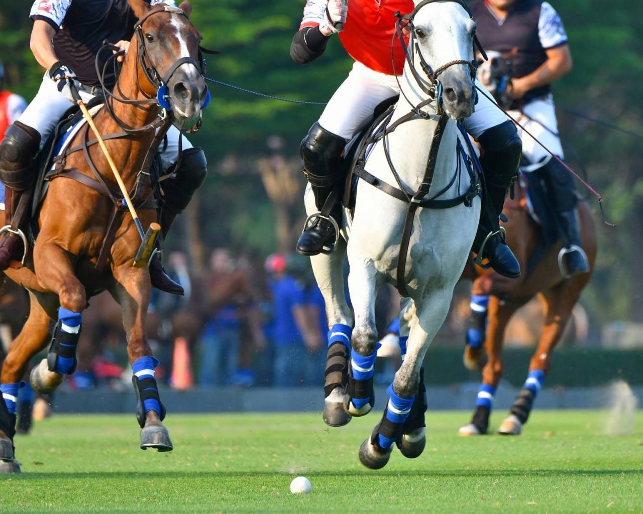 New Build - Leiligheter - Manilva - Bahia De Las Rocas