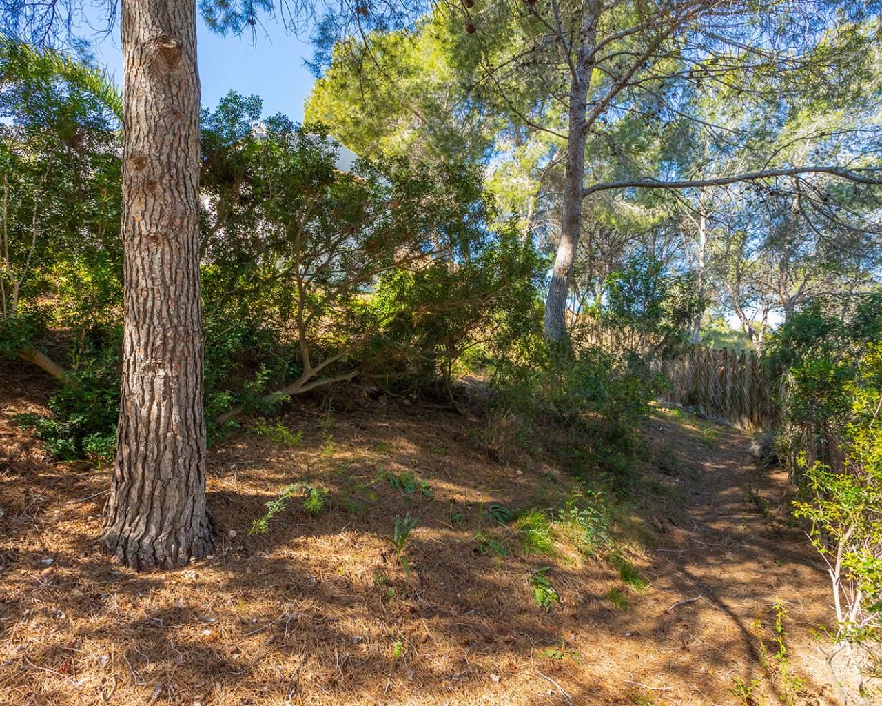 Venta - Villas - Orihuela - Orihuela Costa