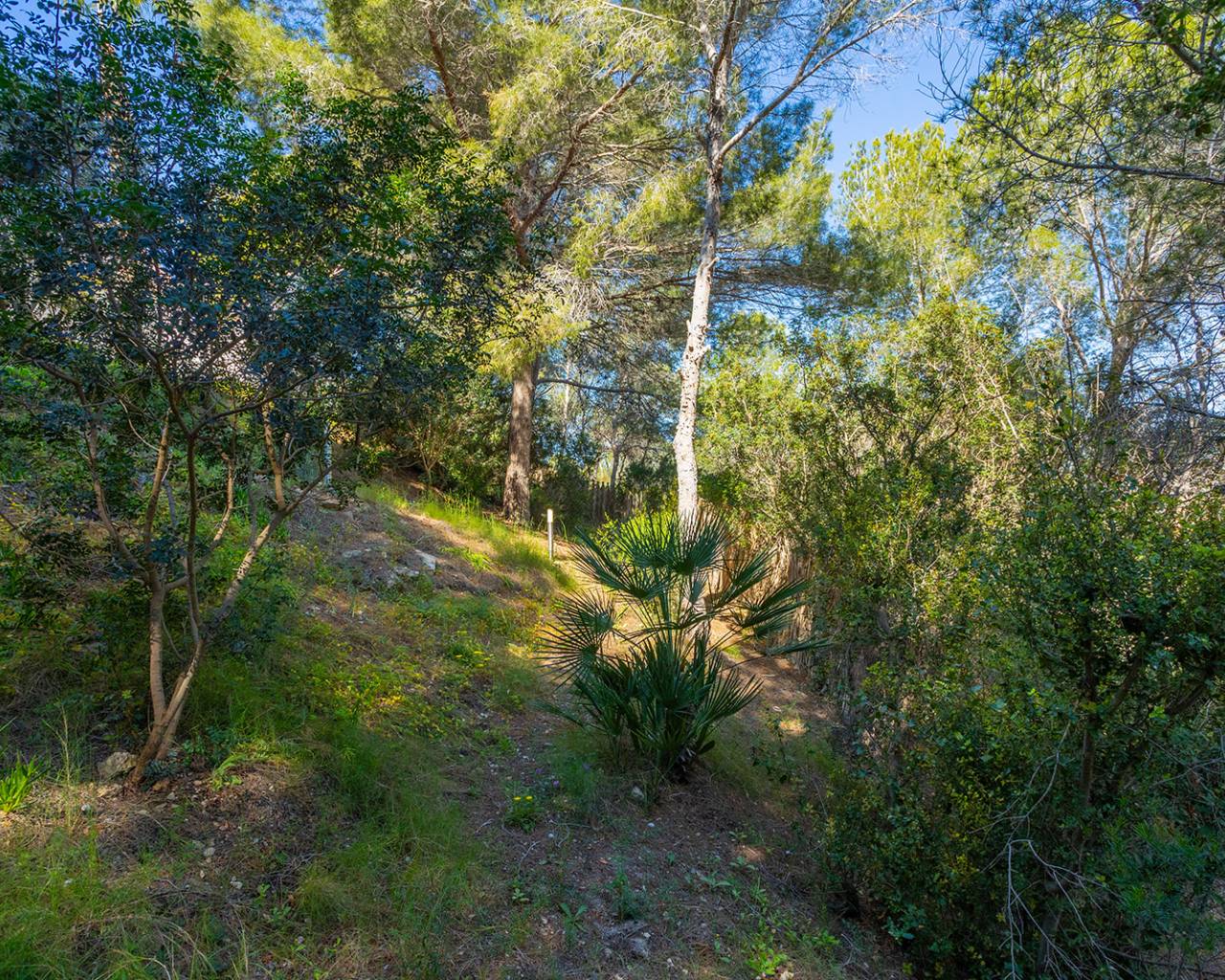 Venta - Villas - Orihuela - Orihuela Costa
