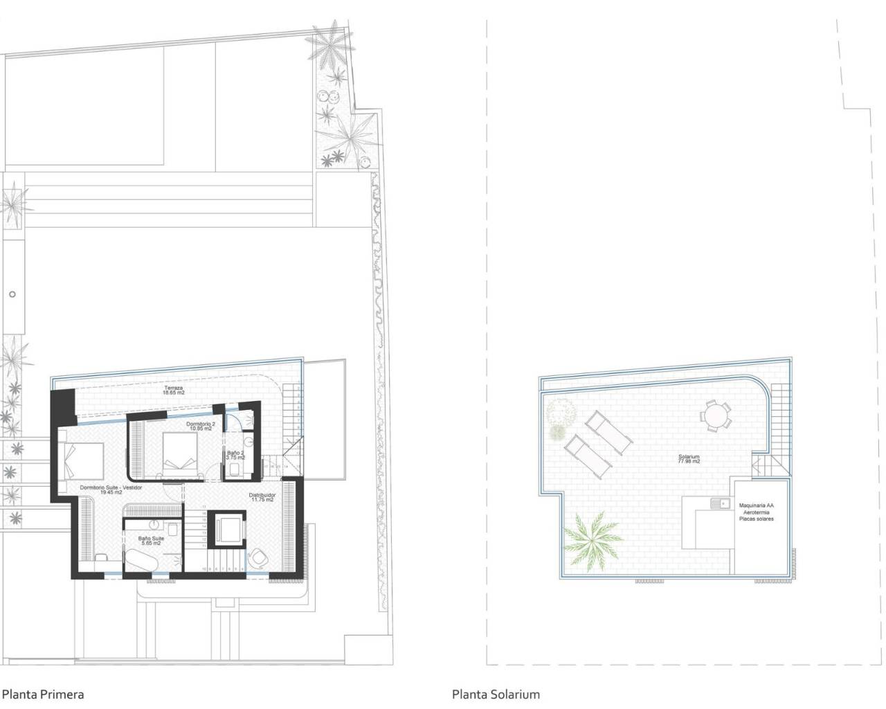 Nueva construcción  - Villas - Cabo de Palos - Cala Flores