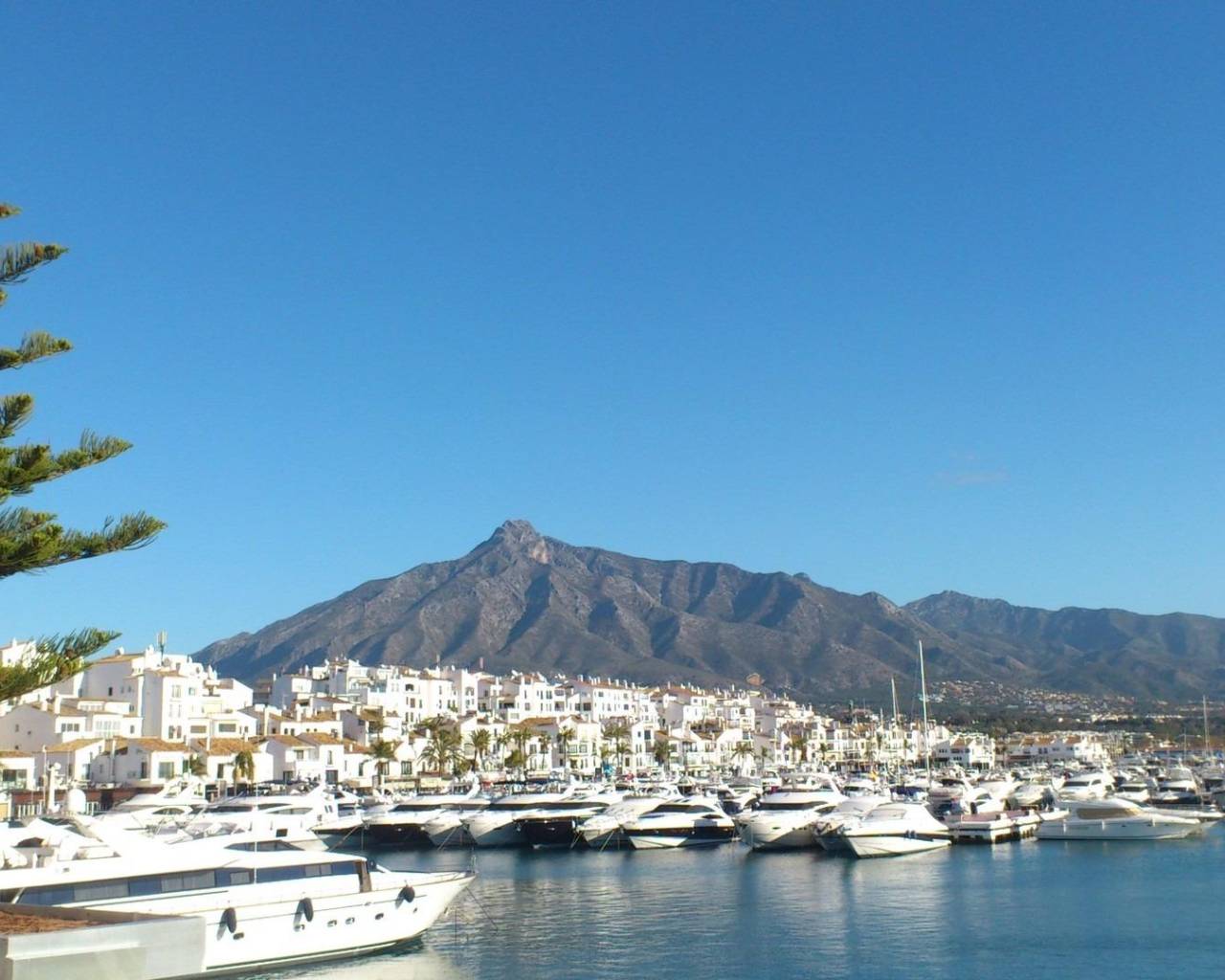 Nouvelle construction - Ground floor apartment - Marbella - Nueva Andalucia