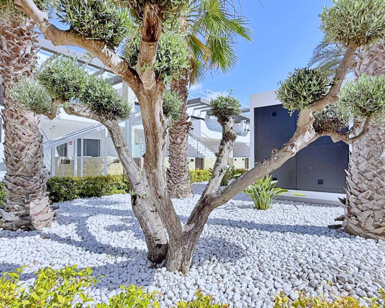 Venta - Apartamentos - Orihuela Costa - Punta Prima