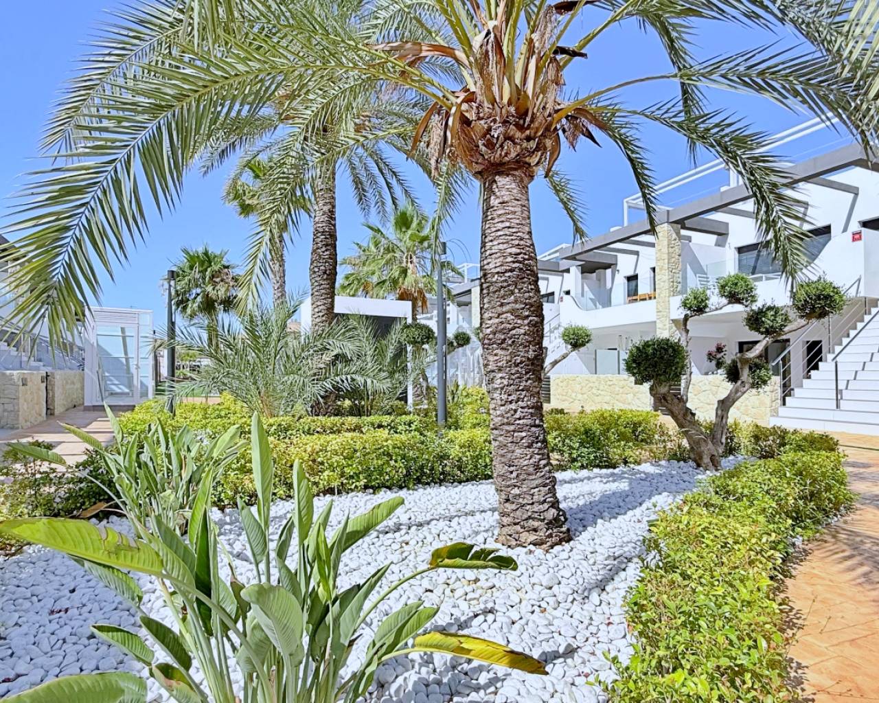 Venta - Apartamentos - Orihuela Costa - Punta Prima