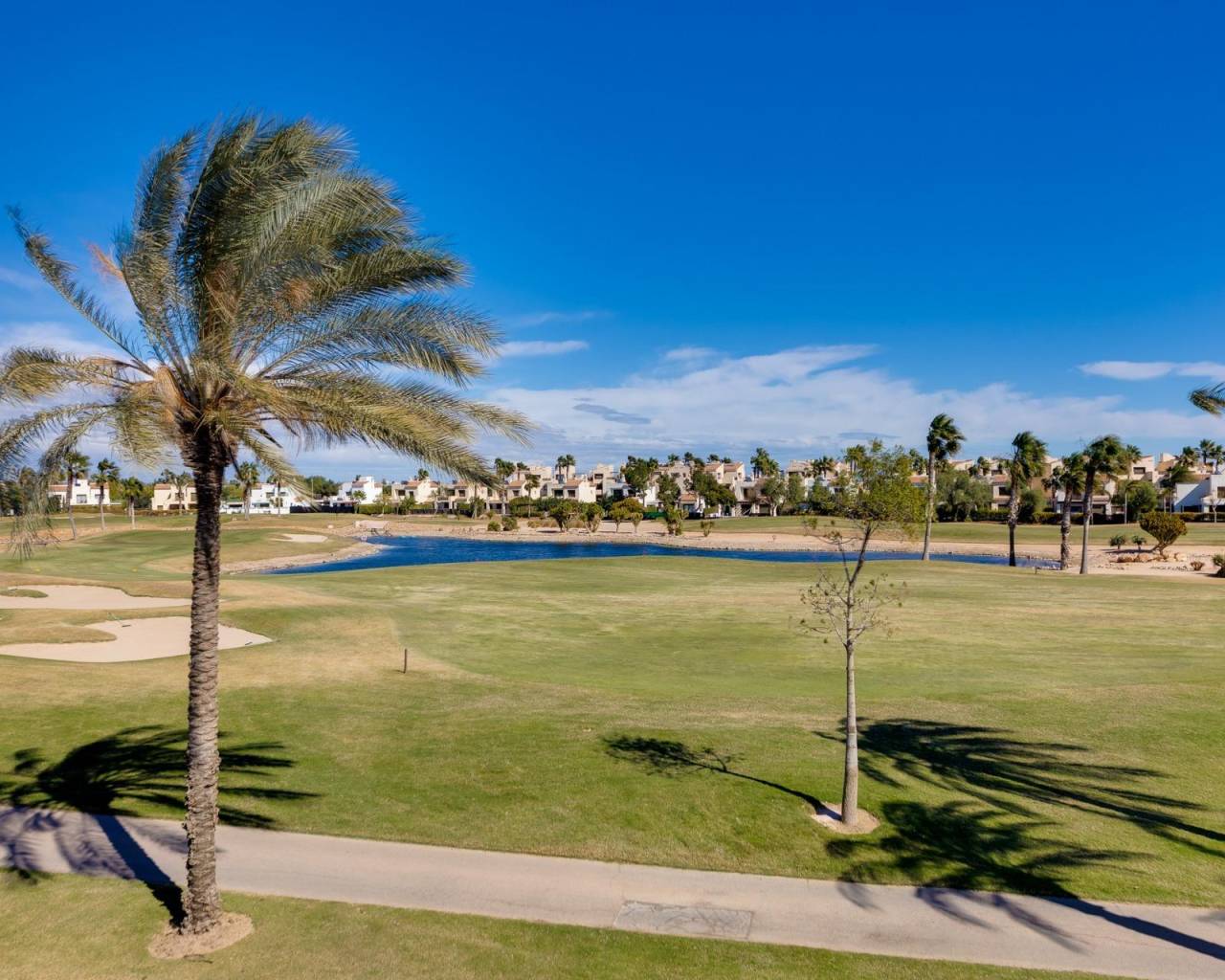 Nueva construcción  - Villas - Pilar de la Horadada - Lo Romero Golf