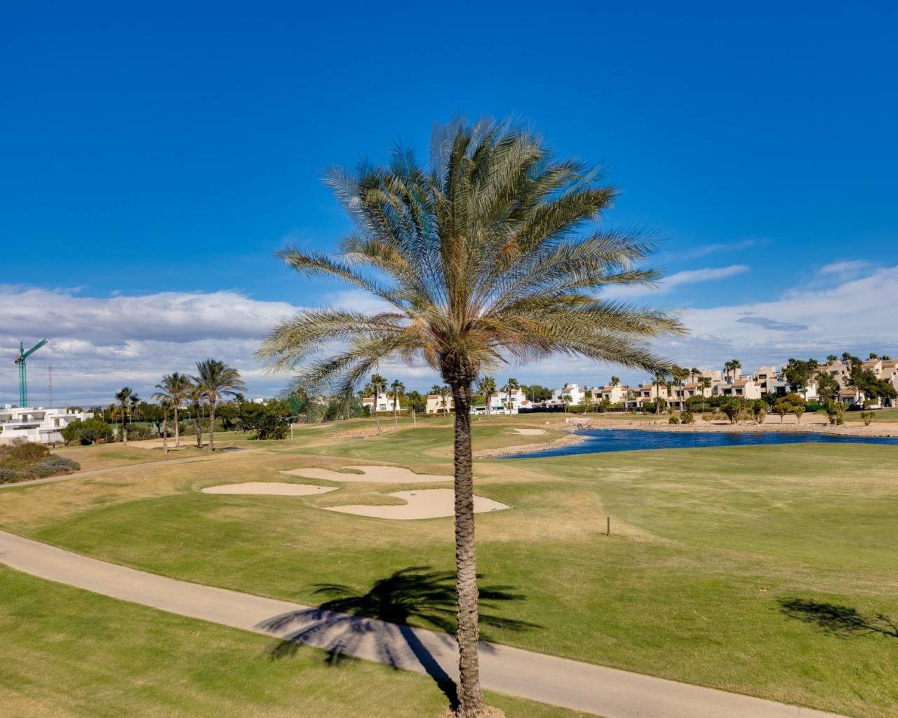 Nueva construcción  - Villas - Pilar de la Horadada - Lo Romero Golf