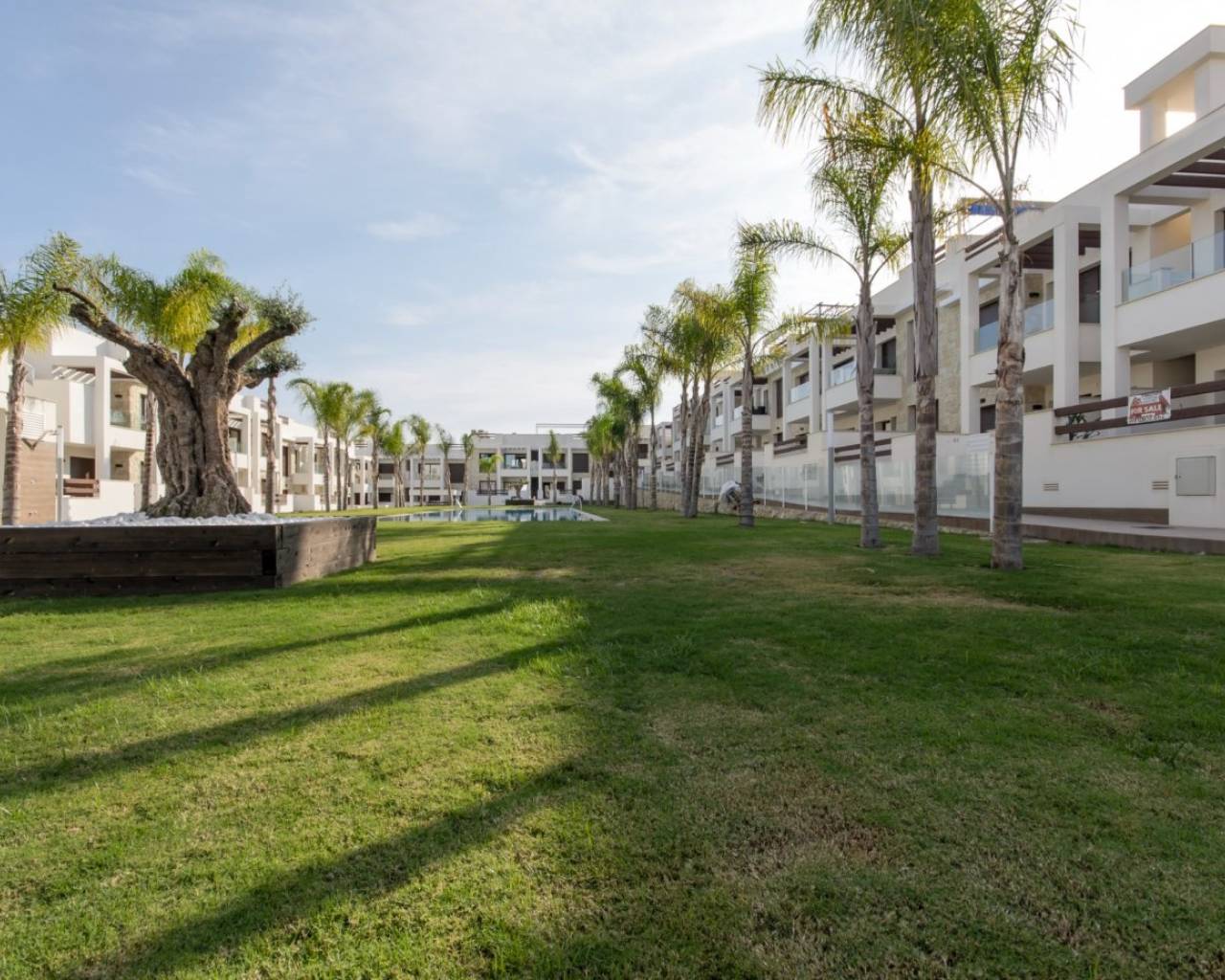 Nueva construcción  - Adosado / Bungalow - Torrevieja - Los Balcones