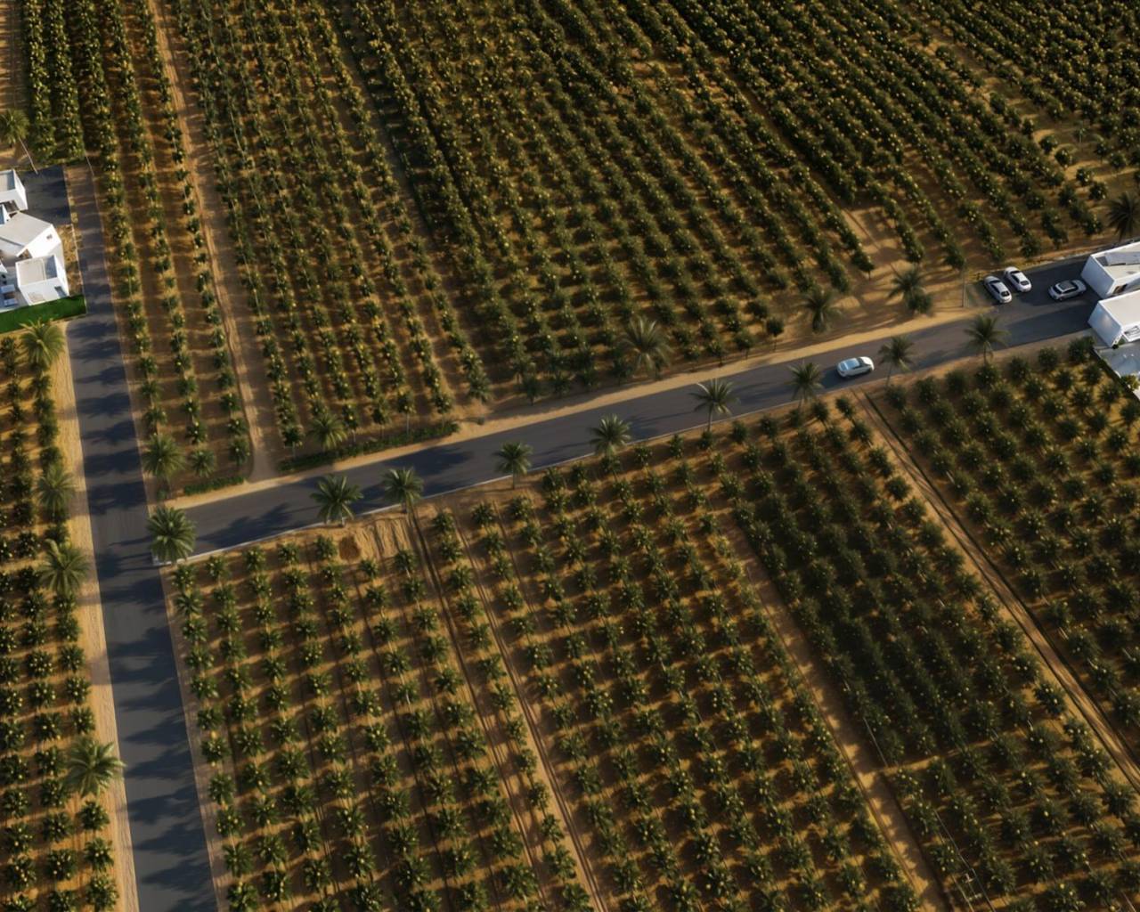 Nueva construcción  - Villas - Benejúzar - alta