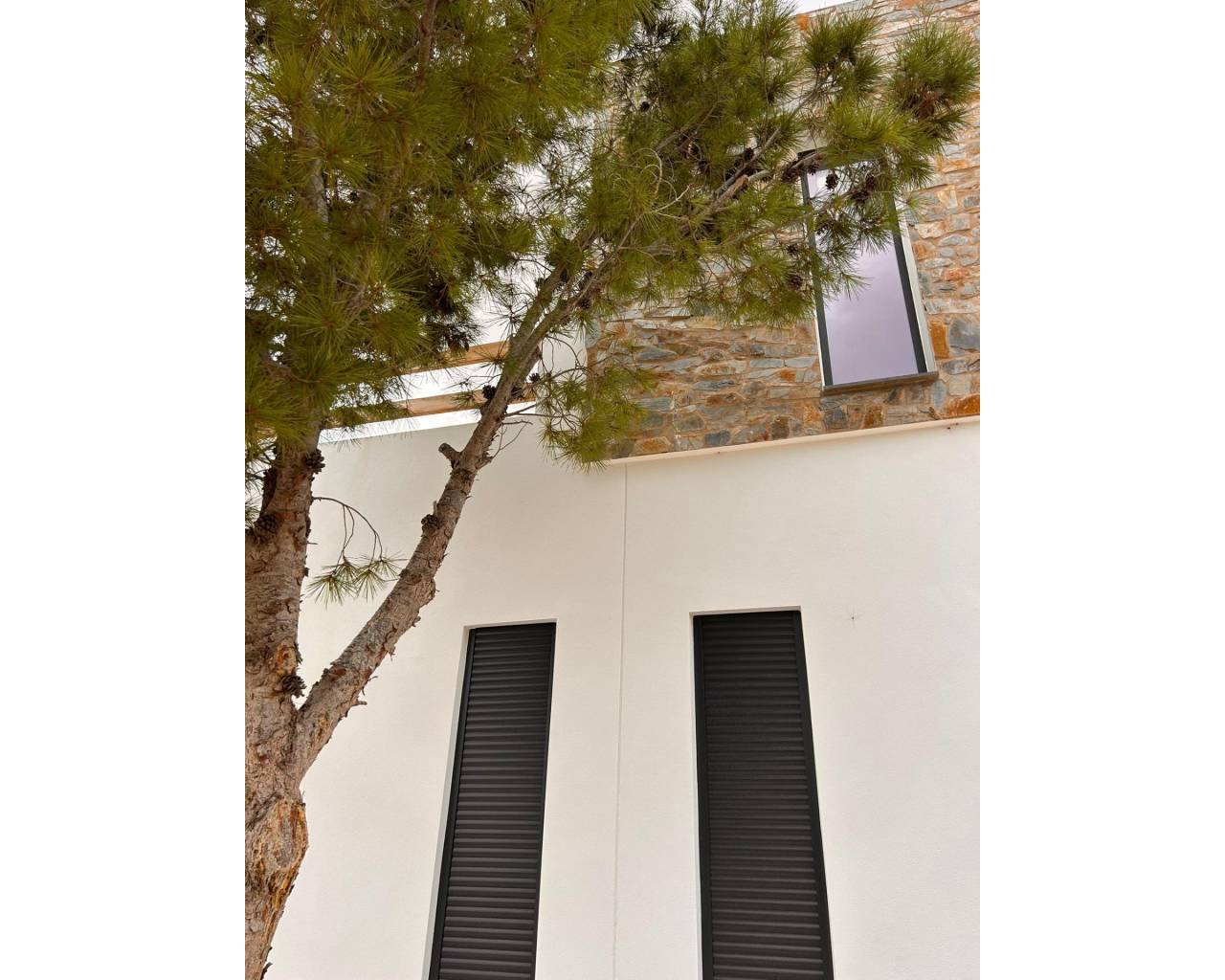 Nueva construcción  - Villas - Pinoso - Casas Pastor