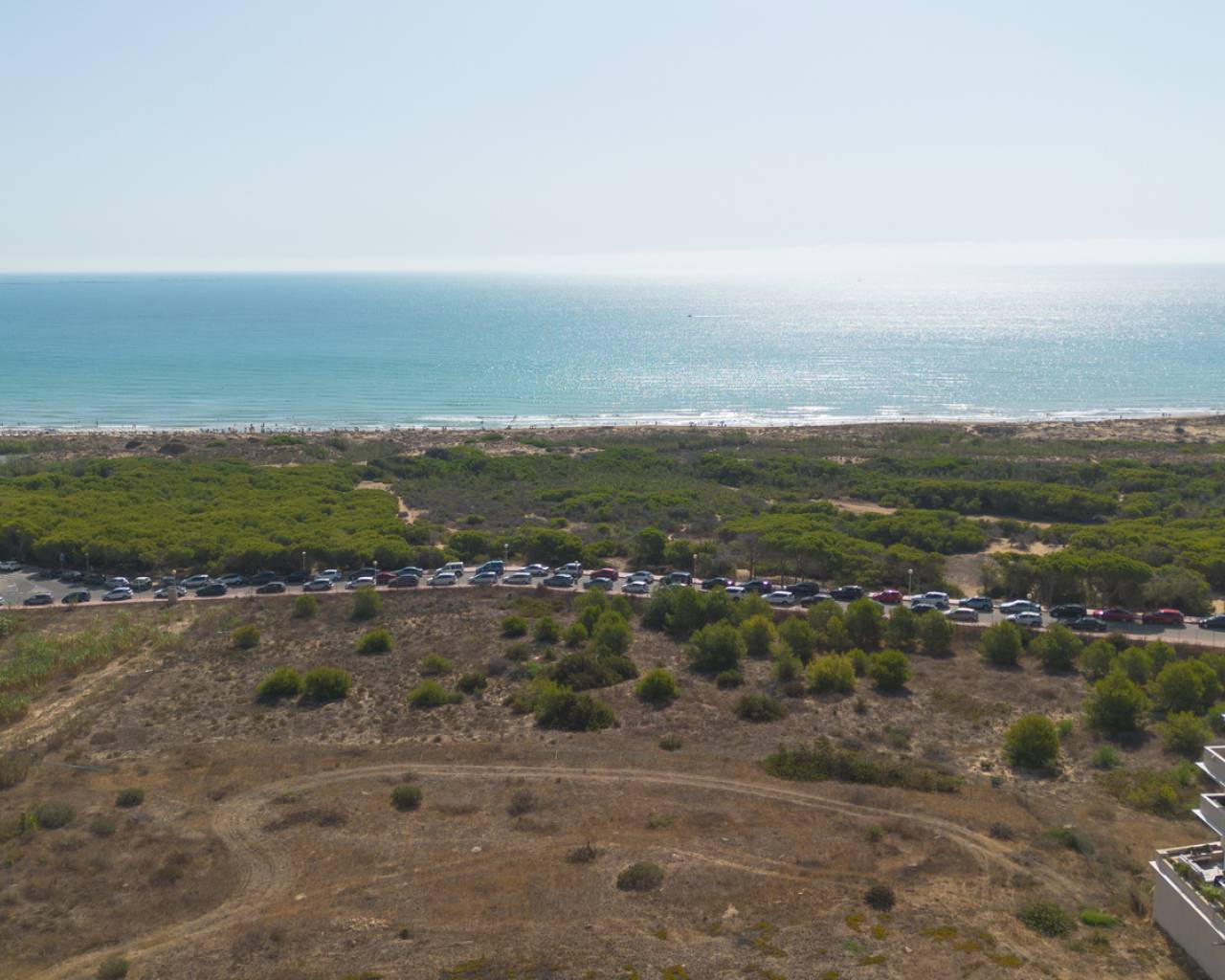 Revente - Appartements - Guardamar del Segura - Guardamar Del Segura
