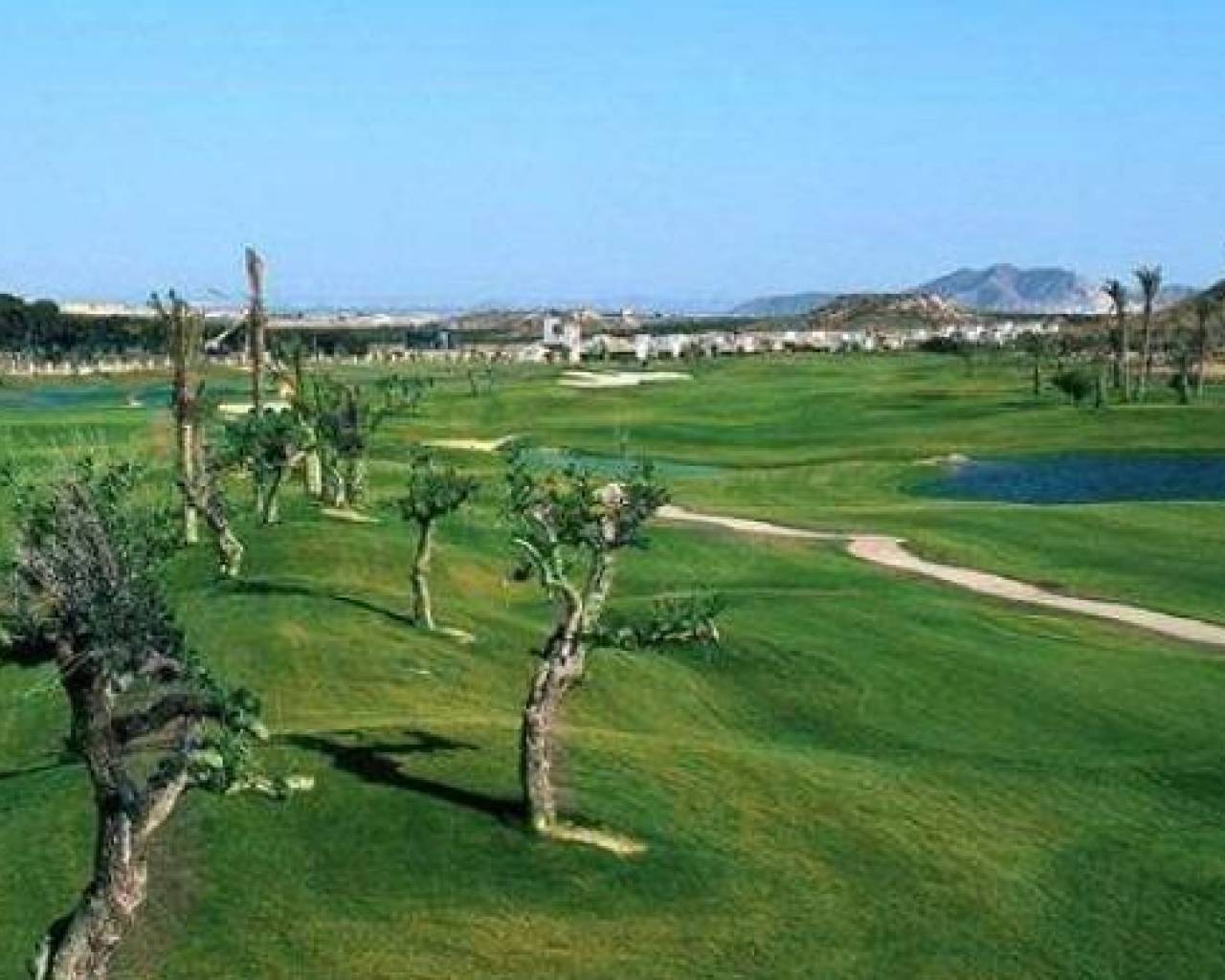 Nouvelle construction - Villas - Sucina - Peraleja Golf